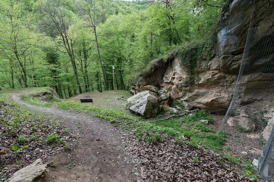 The mouth of Vindija Cave in the woods