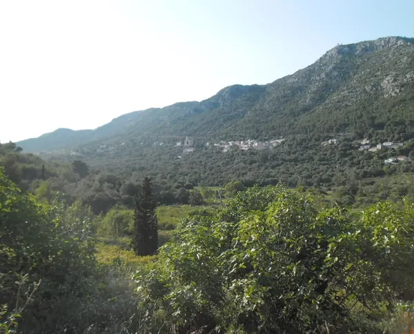 Babino Polje on the island of Mljet